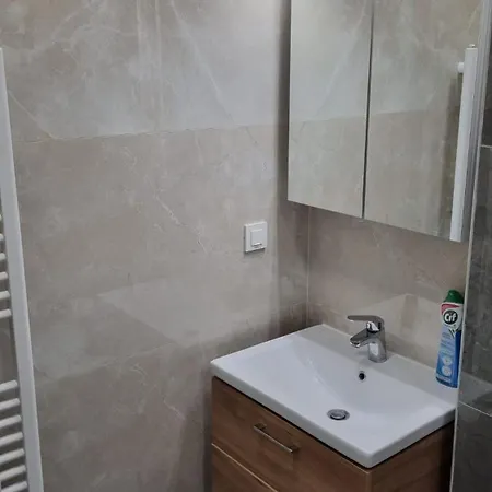 Apartment Large Coresi Apartment, *